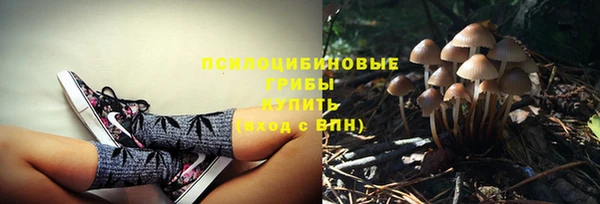 гашик Балабаново