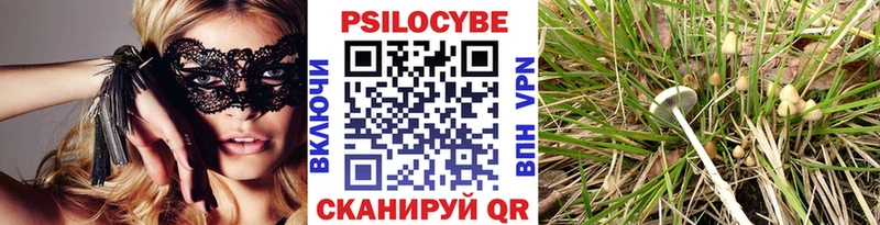 где найти   Ногинск  Псилоцибиновые грибы мухоморы 