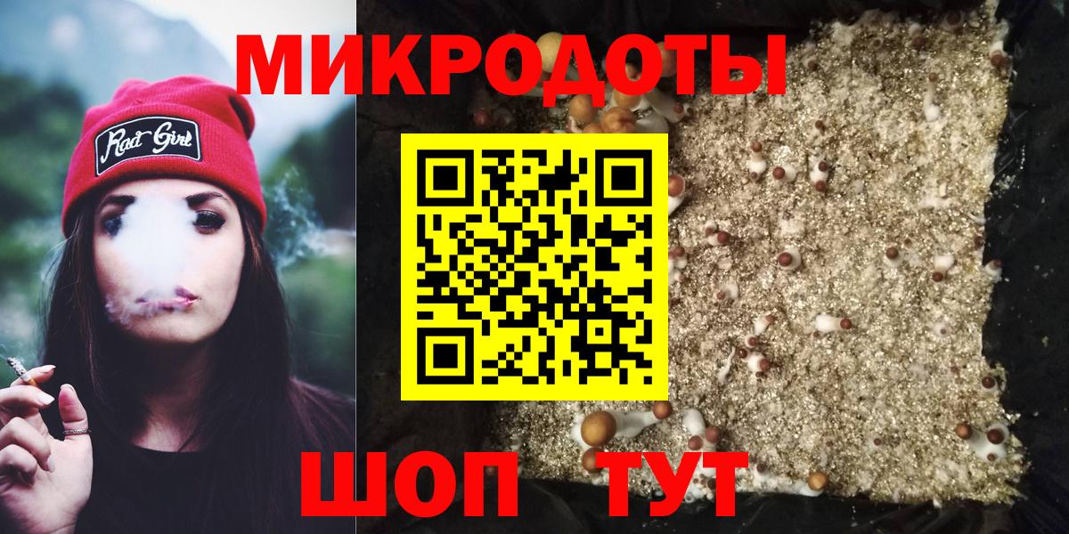 Ногинск  Галлюциногенные грибы Psilocybine cubensis  Вход с VPN 